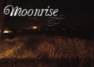 Moonrise2
