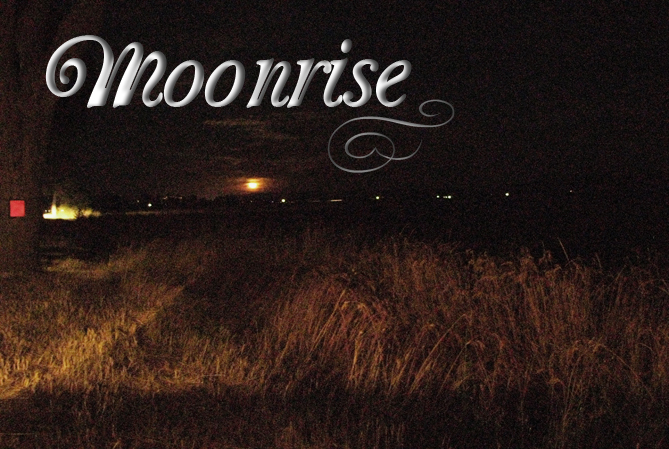 Moonrise